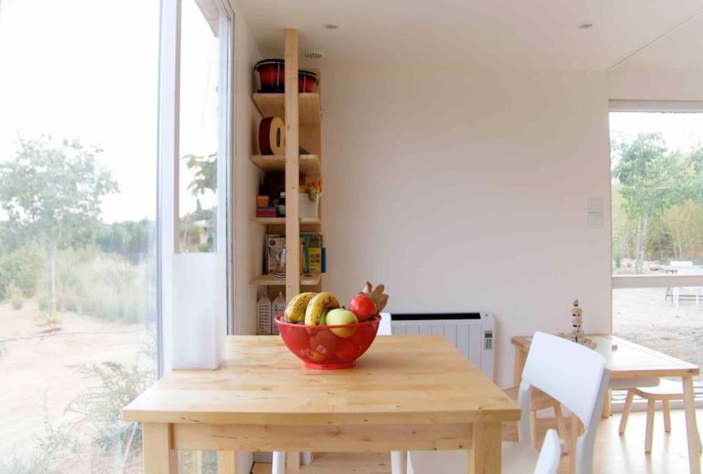 Eco Tiny Home & Office For Digital Nomads Vallmoll 外观 照片