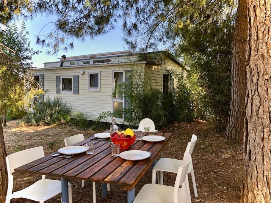 Eco Tiny Home & Office For Digital Nomads Vallmoll 外观 照片