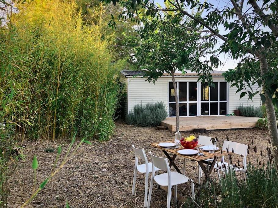 Eco Tiny Home & Office For Digital Nomads Vallmoll 外观 照片